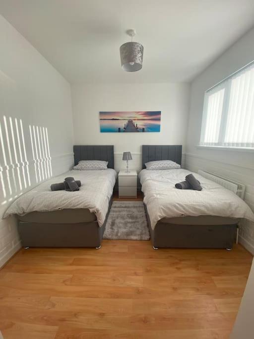 Modern Two Bed House Close To City Centre เบลฟาสต์ ภายนอก รูปภาพ
