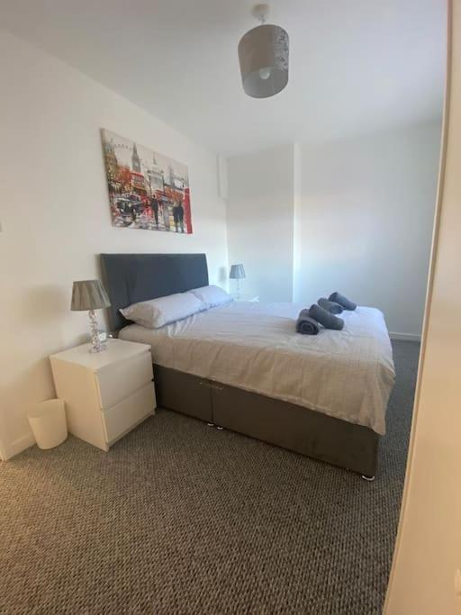 Modern Two Bed House Close To City Centre เบลฟาสต์ ภายนอก รูปภาพ